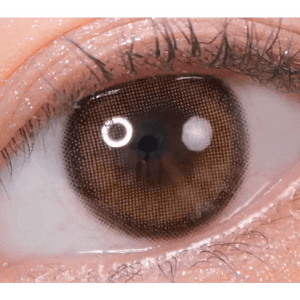 Olens ViVi Ring 1Day Brown (20p) - Idol Karakon