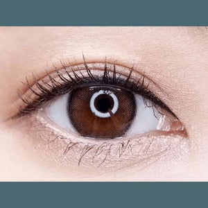 Olens ViVi Ring 1Day Choco (20p) - Idol Karakon