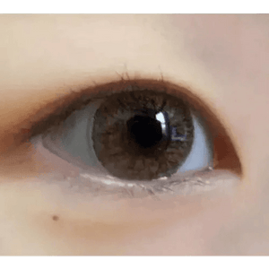 Olens W1 Brown - Idol Karakon