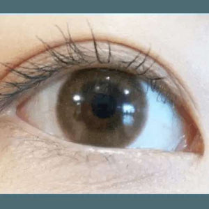 Olens WannaBe Camel Brown - Idol Karakon