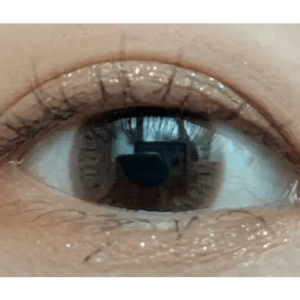 Olens WannaBe Humming Brown - Idol Karakon