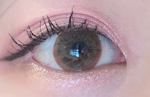 Olens Winky Star Brown - Idol Karakon