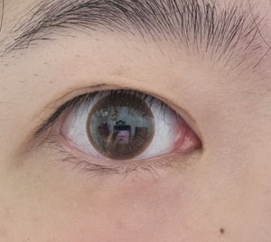 Olens Winky Star Brown - Idol Karakon