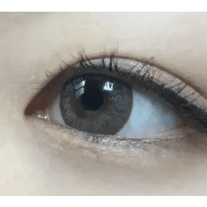 Olens Winky Star Gray - Idol Karakon