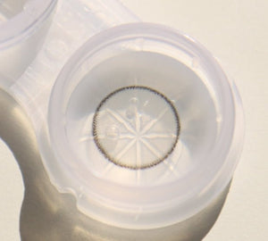 Olens Winsome Gray - Idol Karakon