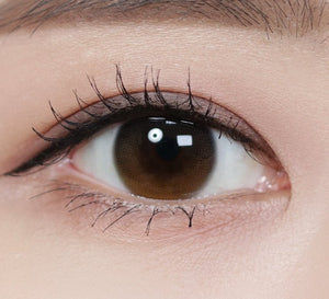 デイムード ブラウン(10p) — Daymood Brown (10p) - Idol Karakon