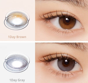 デイムード ブラウン(10p) — Daymood Brown (10p) - Idol Karakon