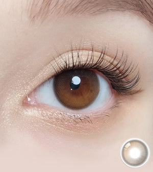 デイムード ブラウン(10p) — Daymood Brown (10p) - Idol Karakon