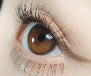 デイムード ブラウン(10p) — Daymood Brown (10p) - Idol Karakon