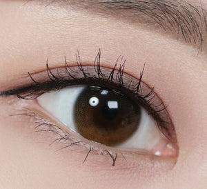 デイムード ブラウン(10p) — Daymood Brown (10p) - Idol Karakon