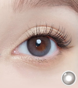 デイムード グレー(10p) — Daymood Gray (10p) - Idol Karakon