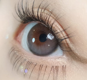 デイムード グレー(10p) — Daymood Gray (10p) - Idol Karakon