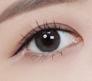 デイムード グレー(10p) — Daymood Gray (10p) - Idol Karakon