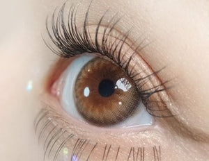 ダズリング ロージー ヘーゼル(10p) — Dazzling Rosie Hazel (10p) - Idol Karakon