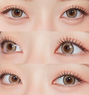 グリント ブラウン(10p) — Glint Brown (10p) - Idol Karakon