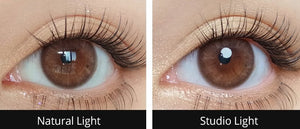 メローズ ミューズ ブラウン(10p) — Mellows Muse Brown (10p) - Idol Karakon