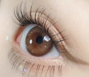 メローズ ミューズ ブラウン(10p) — Mellows Muse Brown (10p) - Idol Karakon