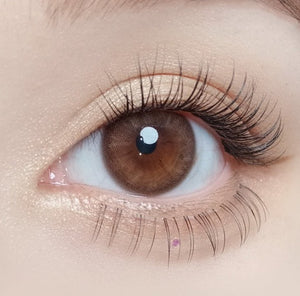 メローズ ミューズ ブラウン(10p) — Mellows Muse Brown (10p) - Idol Karakon