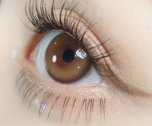 ピュリティ シャイン ヘーゼルブラウン(10p) — Purity Shine Hazel Brown (10p) - Idol Karakon