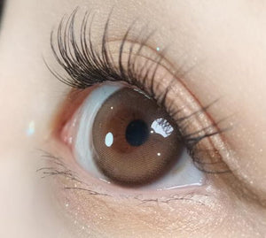 Olola Purity Shine Taupe Brown - Idol Karakon