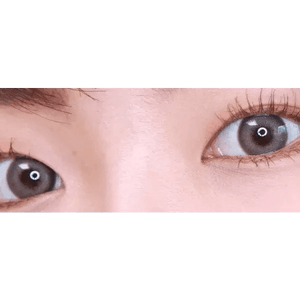 LensVery Photogenic Taupe Gray (10p) - Idol Karakon