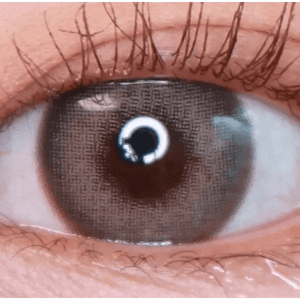 LensVery Photogenic Taupe Gray (10p) - Idol Karakon