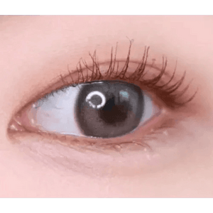 LensVery Photogenic Taupe Gray (10p) - Idol Karakon