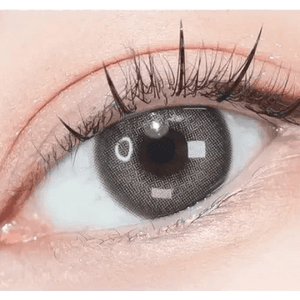 LensVery Photogenic Taupe Gray (10p) - Idol Karakon