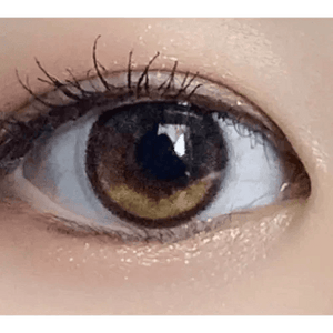 プラネット 1Day スペース ブラウン(5p) — Planet 1Day Space Brown (5p) - Idol Karakon