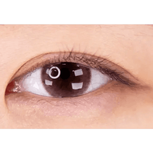 LensTown Pocopong Brown - Idol Karakon