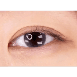 LensTown Pocopong Gray - Idol Karakon