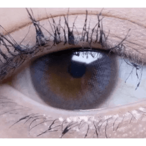 Olens Polla Gray - Idol Karakon