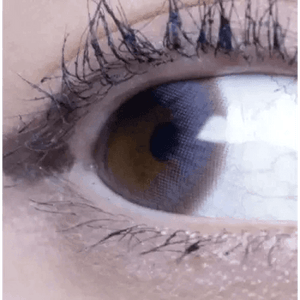 Olens Polla Gray - Idol Karakon