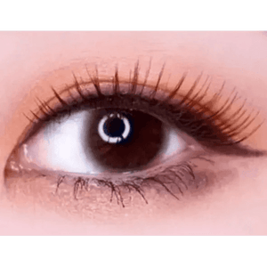 LensTown Precollege Brown - Idol Karakon