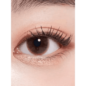 LensTown Precollege Brown - Idol Karakon