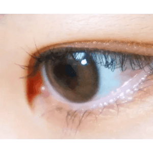 LensVery Rich Ann Indie Brown (6p) - Idol Karakon