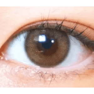 LensVery Rich Ann Indie Brown (6p) - Idol Karakon