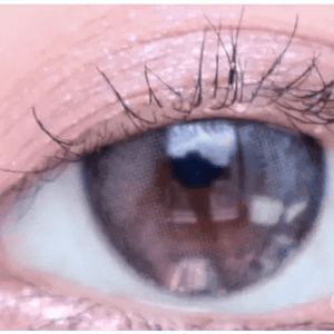 LensVery Rich Ann Indie Gray (6p) - Idol Karakon