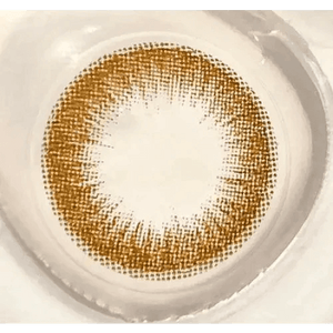 LensVery Rich Ann Latte Brown (6p) - Idol Karakon