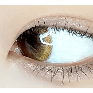 LensVery Rich Ann Latte Brown (6p) - Idol Karakon