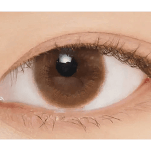 LensVery Rich Ann Latte Brown (6p) - Idol Karakon