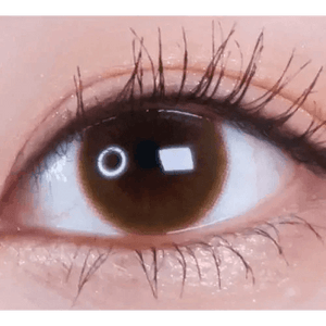 LensVery Rich Ann Latte Brown (6p) - Idol Karakon