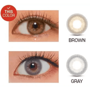 LensVery Rich Ann Mellow Brown (6p) - Idol Karakon