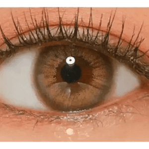 LensVery Rich Ann Mellow Brown (6p) - Idol Karakon