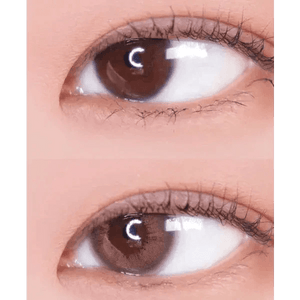 LensVery Rich Ann Mellow Brown (6p) - Idol Karakon