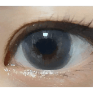 LensVery Rich Ann Mellow Gray (6p) - Idol Karakon