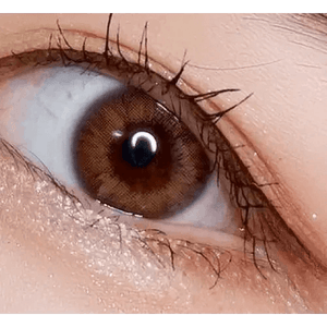 LensVery Rich Ann Natural Brown (6p) - Idol Karakon