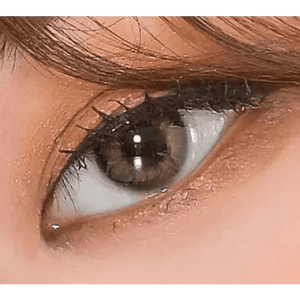 LensVery Rich Ann Natural Brown (6p) - Idol Karakon