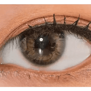 LensVery Rich Ann Natural Brown (6p) - Idol Karakon