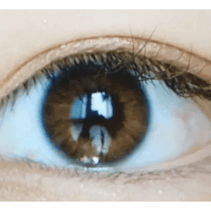 LensVery Rich Ann Natural Brown (6p) - Idol Karakon